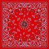 Paisley Red, Bandanna